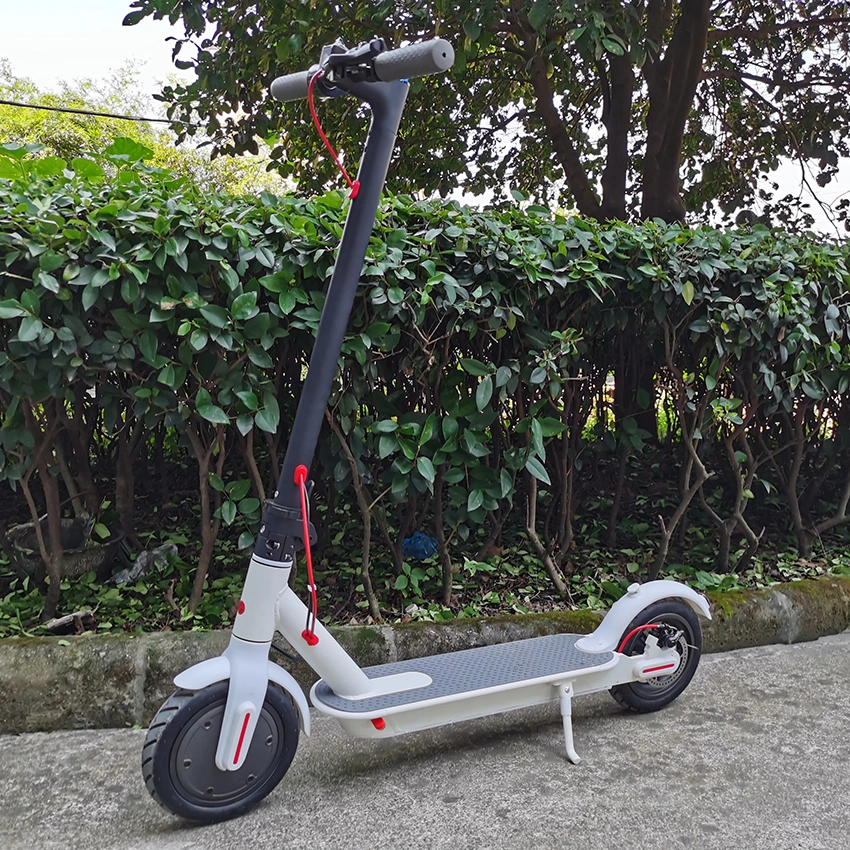 Wholesale Factory 8.5 Inch 500W Electro Trottinette Electrique Electric E Scooter in Europe