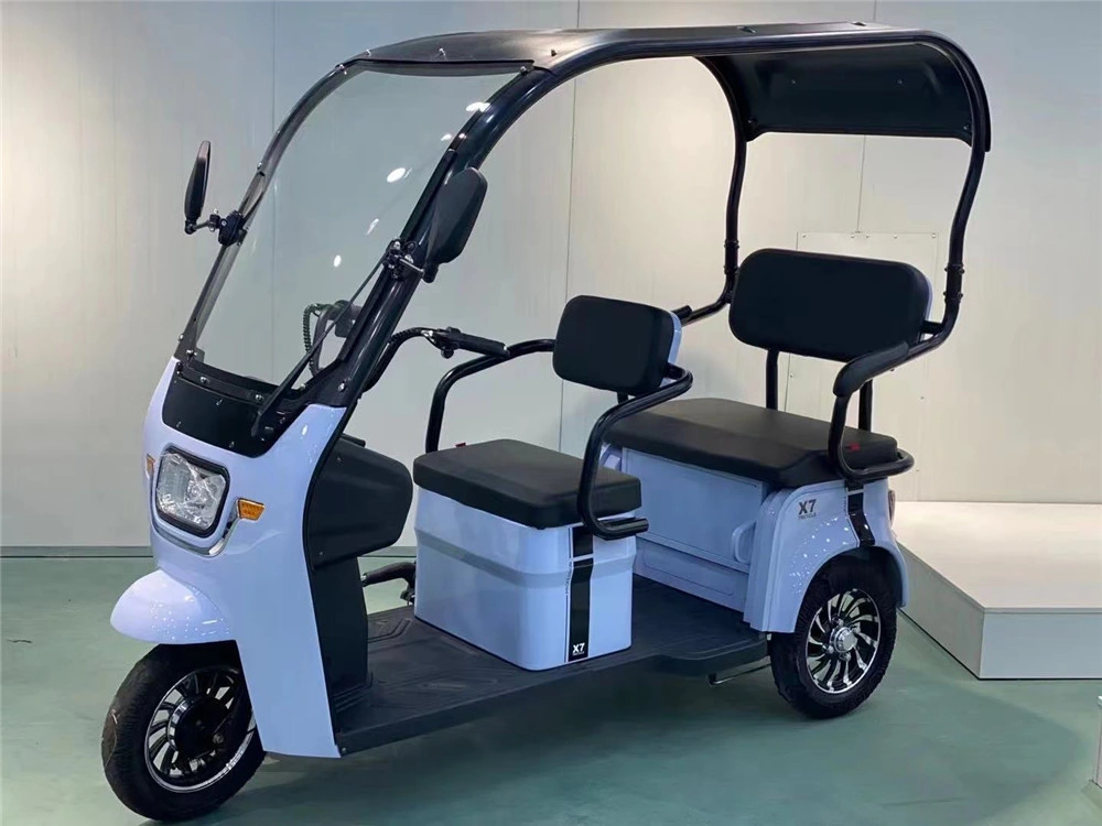 Electric Tricycle Integrated Shed with Windshield Wiper Adult Recreational Electric Car