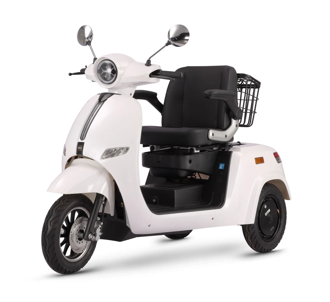 CE EEC Certificated Green Energy Battery Operated Adult 3 Wheels Leisure Electric Tricycle with 1000W Motor Vehicle