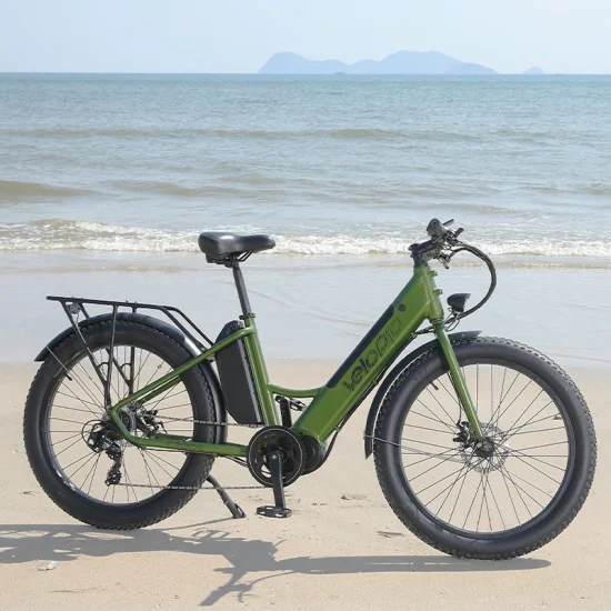 Bicicleta eléctrica de ciudad de 48V y 500W, Motor de accionamiento medio, bicicleta eléctrica para ciclismo, bicicleta eléctrica potente con neumático grueso, bicicleta de montaña eléctrica