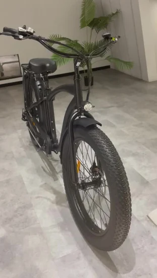 Bicicleta eléctrica Ebike de China 750W Fat Tire para hombre con suspensión completa