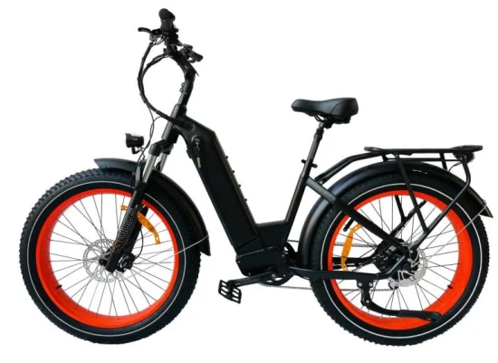 Queene buena calidad 1000W MID Drive E Bike Suspensión completa Fat Tire Mountain Electric Bike E-Bike