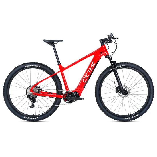 Bafang MID Drive Motor 16ah Batería de litio Mountain E Bike Bicicleta eléctrica Dropship