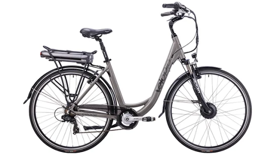 Bicicleta de carretera eléctrica de alta velocidad de venta caliente Ebike con batería de litio