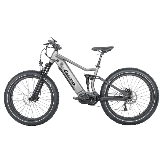 26 * 4.0 MID-Drive 48V12.8ah Batería de iones de litio, 750W / 1000W Bafang Bicicleta de ciudad eléctrica sin escobillas