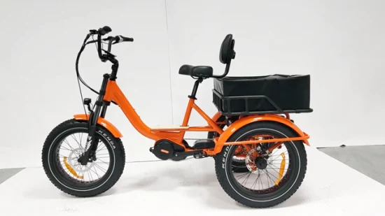 Triciclo eléctrico adulto modificado para requisitos particulares rueda de E Trike 3 del poder más elevado del motor del cargo MID