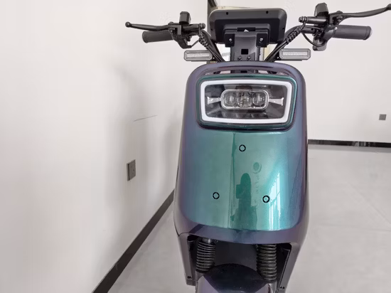 5% de descuento en scooter/bicicleta eléctrica de batería de litio de plomo con certificado CEE