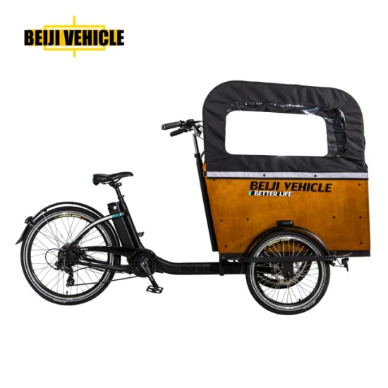 Venta caliente bicicleta eléctrica 250W Motor 3 ruedas bicicleta de carga eléctrica con caja de madera triciclo para llevar niños y mascotas