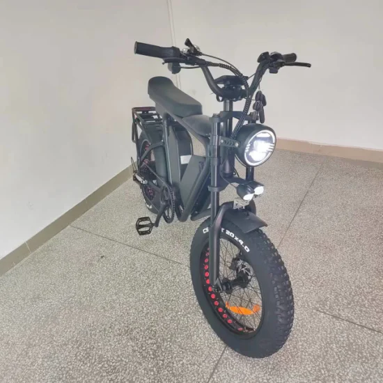 E Bike1000W Motor Batería dual 48V / 22ah * 2 Freno de aceite Suspensión completa 55kmh Bicicleta gorda eléctrica rápida