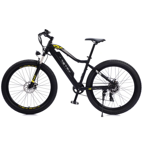 Bicicleta eléctrica 350W Ebike Marco de aluminio Bicicleta eléctrica Ebike con batería de litio oculta